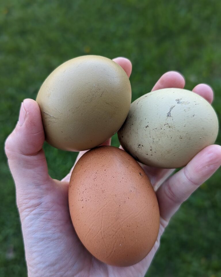 Howland Farmers Market